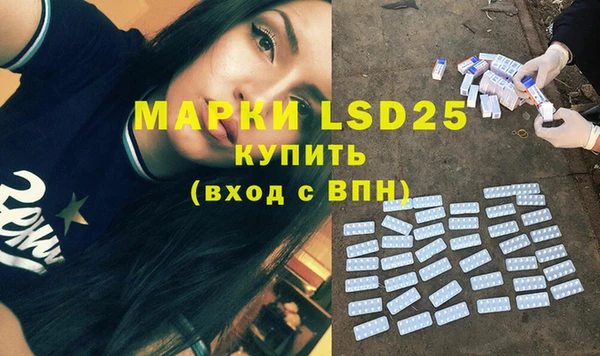 прущие грибы Сафоново