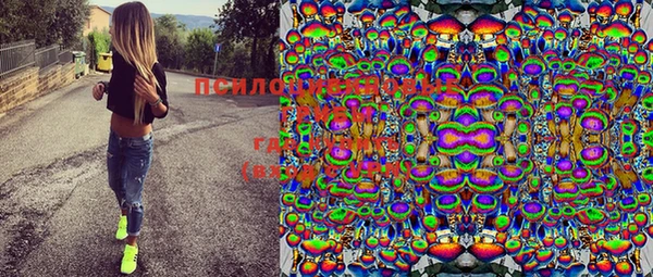 прущие грибы Сафоново