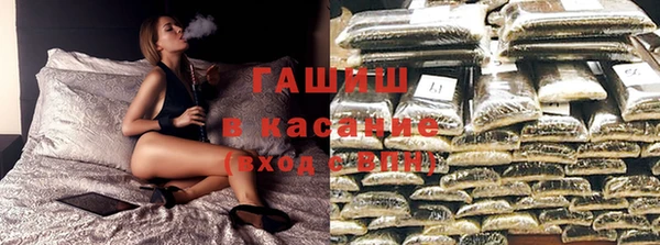 прущие грибы Сафоново