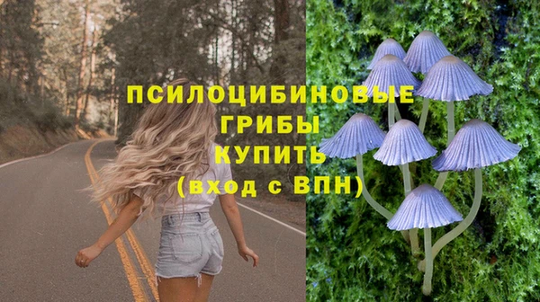 прущие грибы Сафоново