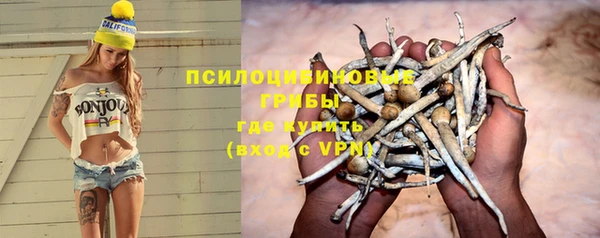 прущие грибы Сафоново